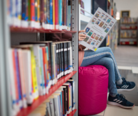 Lecture et bibliothèques